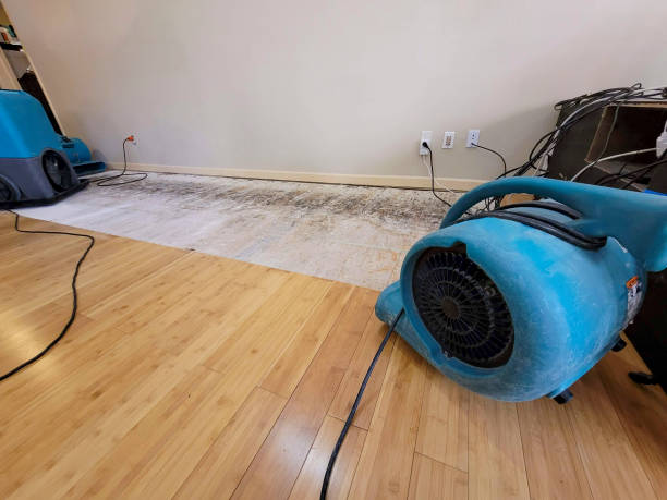 Professional Flood Damage Cleanup technician working in Snow Camp, NC